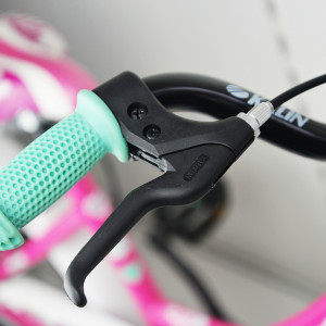 Bērnu velosipēds ESPERIA 20 Game Girl (229400D) rozā