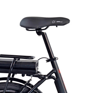 Elektriskais velosipēds Esperia 20 Folding Ecobike (231000) melns