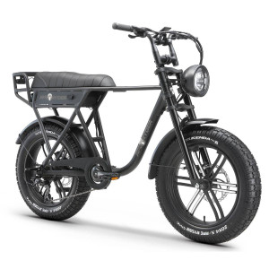 Elektriskais velosipēds APE RYDER 20 A10 melns 