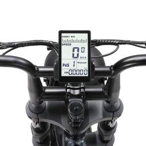 Elektriskais velosipēds APE RYDER 20 A10 melns 