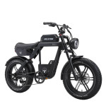 Elektriskais velosipēds APE RYDER Baboon 20 melns
