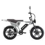 Elektriskais velosipēds APE RYDER Genon Ultra Grey