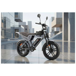 Elektriskais velosipēds APE RYDER Genon Ultra Grey
