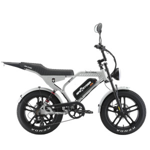 Elektriskais velosipēds APE RYDER Mandrill Ultra Grey