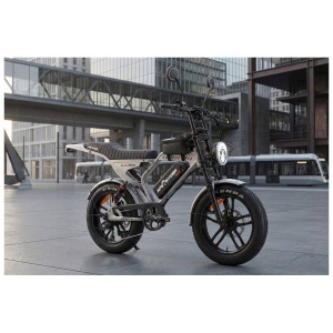 Elektriskais velosipēds APE RYDER Mandrill Ultra Grey