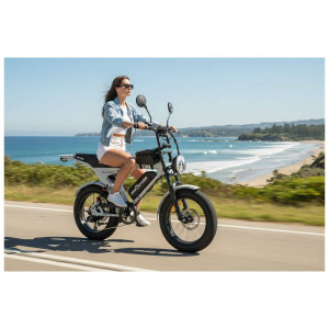 Elektriskais velosipēds APE RYDER Mandrill Ultra Grey