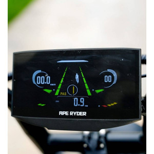 Elektriskais velosipēds APE RYDER Mandrill Ultra Grey