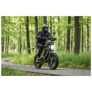 Elektriskais velosipēds APE RYDER Mandrill Ultra Beige