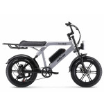 Elektriskais velosipēds APE RYDER 20 Colobus pelēks 