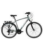 Tūrisma velosipēds Bisan 28 TRX8100 City g.pelēks/zaļš (M)