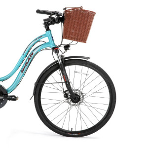 Pilsētas velosipēds Bisan 28 CTX6300 g.zaļš (18)