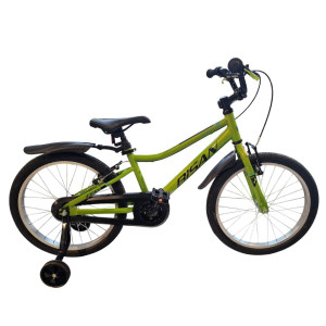 Bērnu velosipēds Bisan Floki V Green/Black (Rata izmērs: 20 Rāmja izmērs: 11)