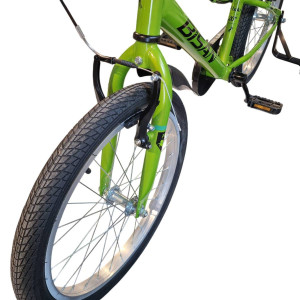 Bērnu velosipēds Bisan Floki V Green/Black (Rata izmērs: 20 Rāmja izmērs: 11)