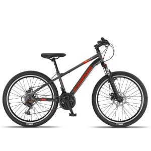 Pusaudžu velosipēds Champions 24 Kaunos DB Anthracite (Rata izmērs: 24 Rāmja izmērs: 13 )