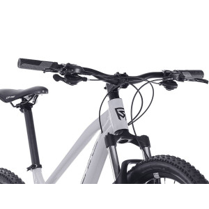 Kalnu velosipēds Rock Machine Manhattan 40-29 Gloss Limerock Grey (Rata izmērs: 29 Rāmja izmērs: L)